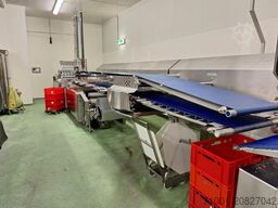 Weber Slicer CCR 904