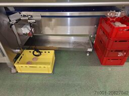 Weber Slicer CCR 904