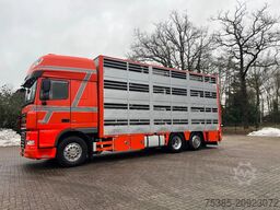 DAF XF 105 Berdex 1/2/3/4 livestock veewagen type2