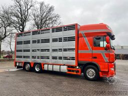 DAF XF 105 Berdex 1/2/3/4 livestock veewagen type2
