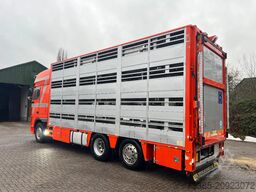 DAF XF 105 Berdex 1/2/3/4 livestock veewagen type2