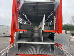 DAF XF 105 Berdex 1/2/3/4 livestock veewagen type2