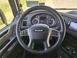 DAF XF 480 FAR CLEAN MANUAL