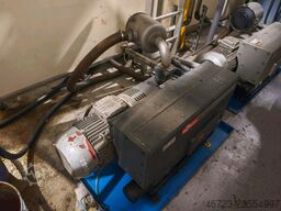 QS VF-20-08-02