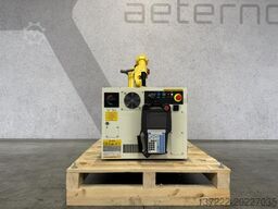 FANUC M-10iA/7L