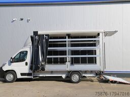 OPEL Movano Schiebeplane 420x220x220 LBW