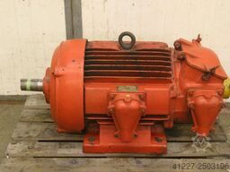 unbekannt hOR1371-8D