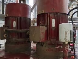 Mesken Haule Jumbo Single