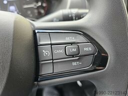 Fiat Ducato 35 MAXI L5H3 L4H3 17m³ 180PS Visibility