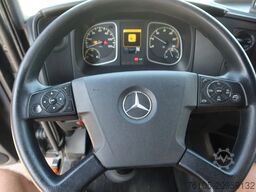 Mercedes-Benz Atego 816 L 3 Paarden/4 Ponies, nieuwe accu's.