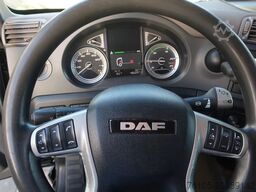 DAF CF 410 DAF CF 410 Black Edition Dhollandia klep...