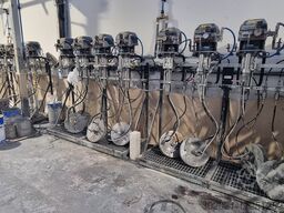 Cefla Linea Automatica Verniciatura