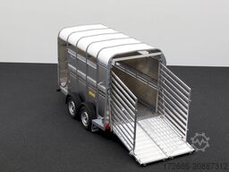 Ifor Williams TA5|10x6|RAMPE-/TÜR-KOMBI 311X156X183cm