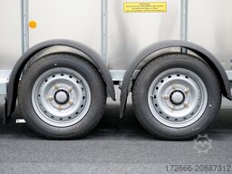 Ifor Williams TA5|10x6|RAMPE-/TÜR-KOMBI 311X156X183cm