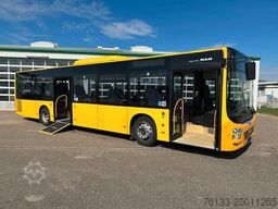 MAN A21