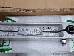 Femia 