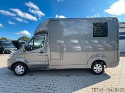 MERCEDES-BENZ STX Sprinter  3.500KG  Haras Hengste