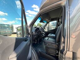 MERCEDES-BENZ STX Sprinter  3.500KG  Haras Hengste