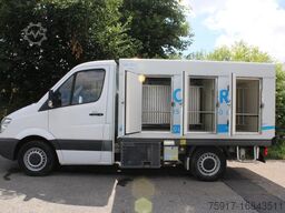 MERCEDES-BENZ Sprinter 310 ColdCar 3+3 Türen  -33°C