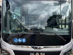MAN 12 C Lions City
