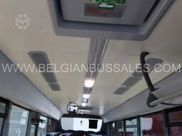 Iveco Crossway Line 12m pop light