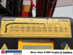 Fassi F230AXP.25, Seilwinde, Funk, Ex-Schweizer Armee
