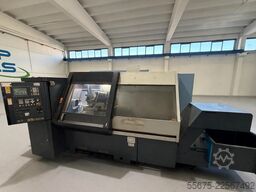 ANGELINI DG 13