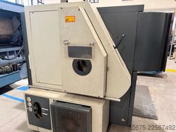 ANGELINI DG 13