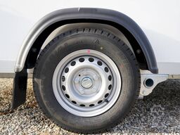 Debon CHEVAL LIBERTE DEBON CARGO 1300 WEISS