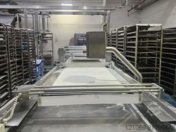 ODDY Roll Plant Novatek 2