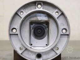 iotti Strozzi 1 l.S P 3 S