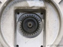 iotti Strozzi 1 l.S P 3 S