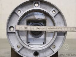 iotti Strozzi 1 l.S P 3 S