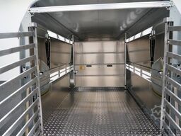 Ifor Williams TA510|14x6|DOPPELSTOCK 434X178X183CM