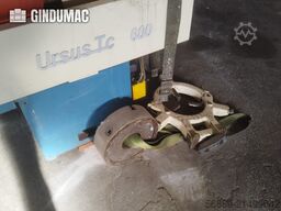 Other URSUS TC