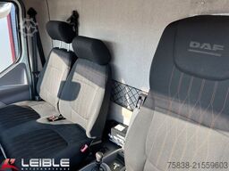 DAF 7,5t LF 210 FA *BÄR-LBW*3-Sitzer*Kamera*