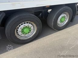  SGL 290 Koffer/HB / Swiss-Vehicle