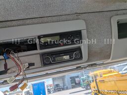 IVECO Trakker 450 / 8x8 Allrad / Agrotruck