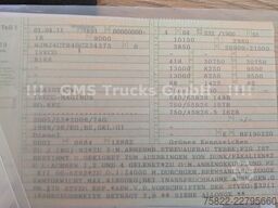 IVECO Trakker 450 / 8x8 Allrad / Agrotruck