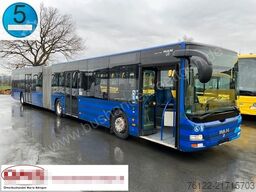 MAN A 23 Lions City G / O 530 G Citaro
