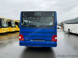 MAN A 23 Lions City G / O 530 G Citaro