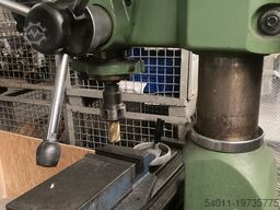 Primat BFM30T