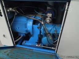 ALUP ALLEGRO38