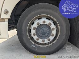 MAN TGX 480