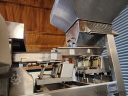 Ward Bekker Systems Linear Weigher LZ142