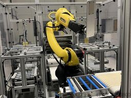 FANUC M-10iD/12