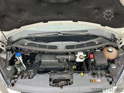 FORD Transit Custom Kasten 250 L1 City Light