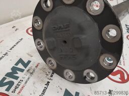 Daf Occ steekas zonder sper DAF