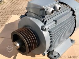 RÜETSCHI 54 kW 60 Hz 3552 U/min