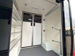 MERCEDES-BENZ STX Sprinter  GG 4,100KG  Haras Hengste